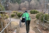 휠체어산책 서비스